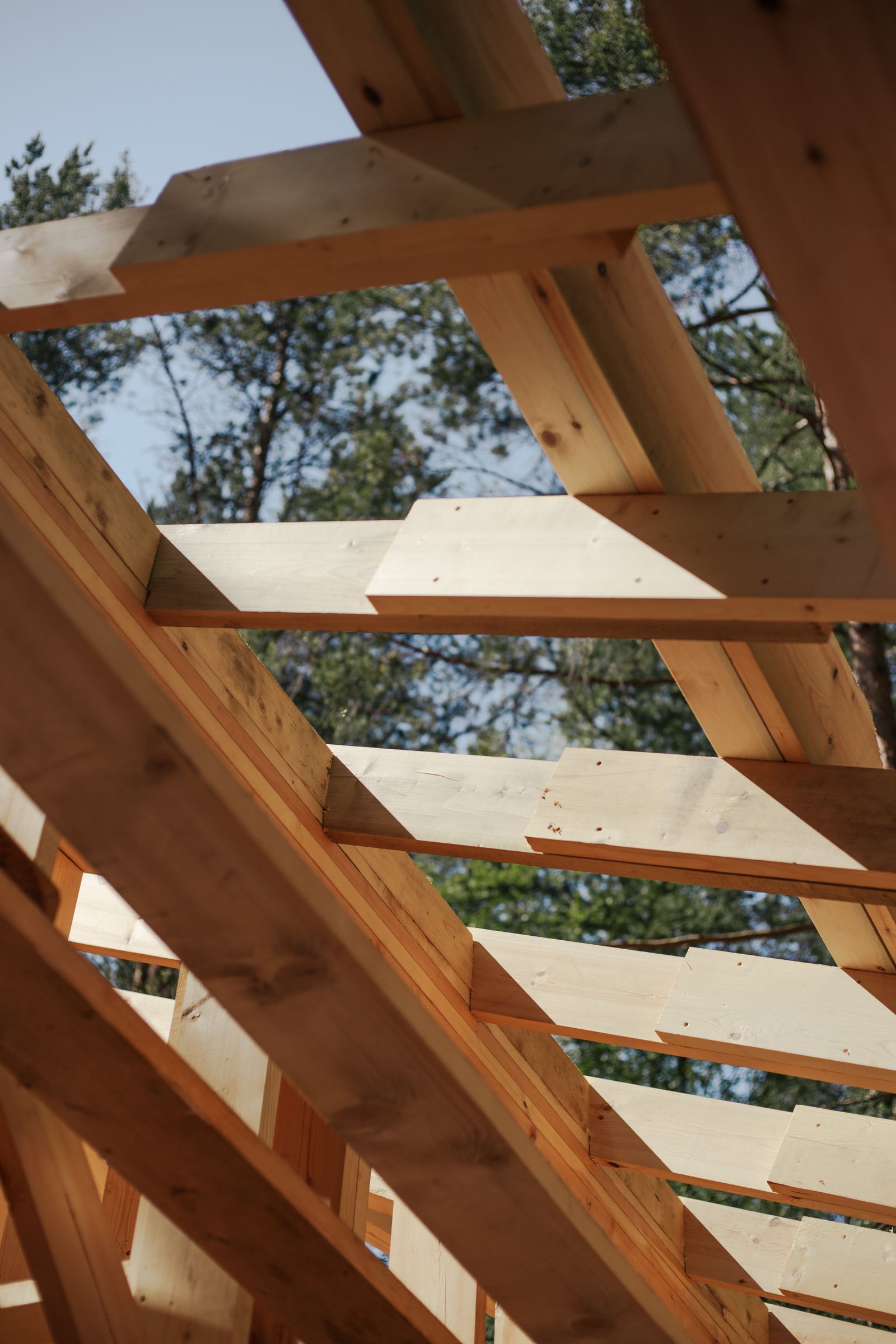 Wood roof framing during a residential construction project
